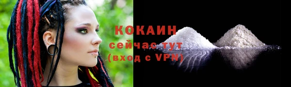 дживик Тутаев