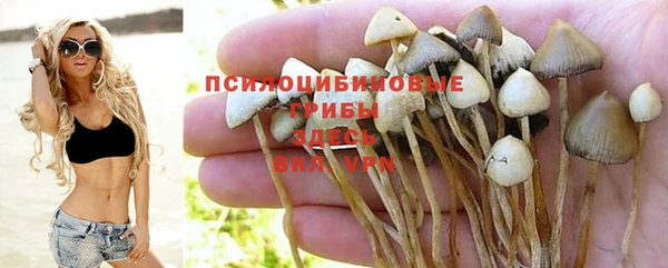 прущая мука Туринск