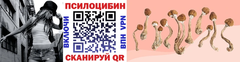 Купить где  Нелидово  Галлюциногенные грибы мухоморы 