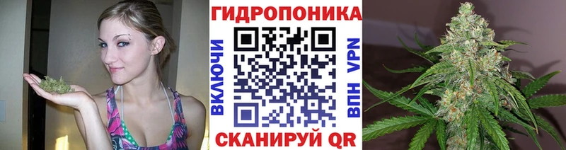 Купить  Нелидово  Конопля Amnesia 